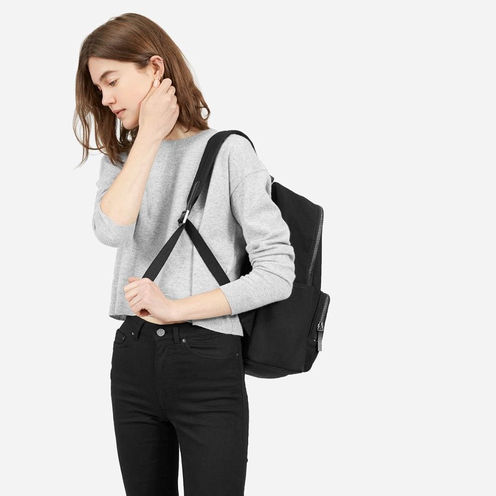 Everlane Modern Zip Black Backpack - Large